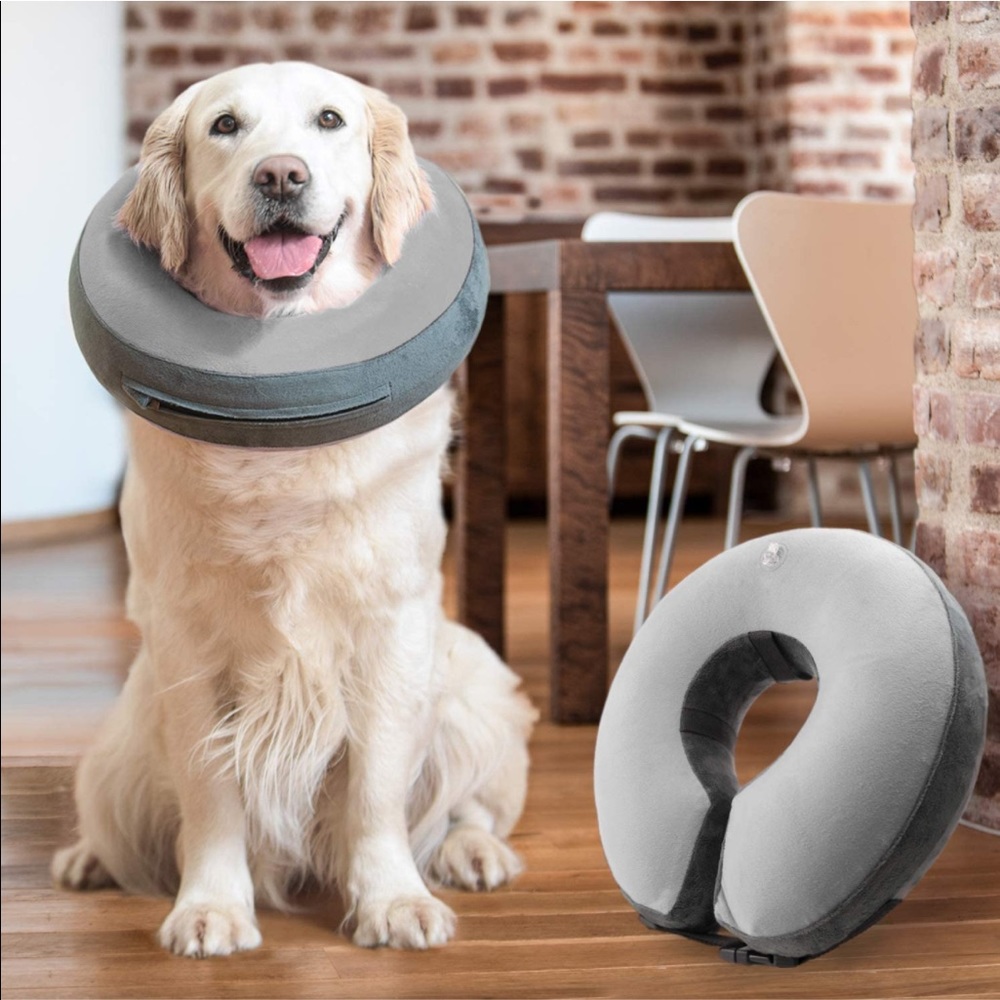 Inflatable Recovery collar for dogs